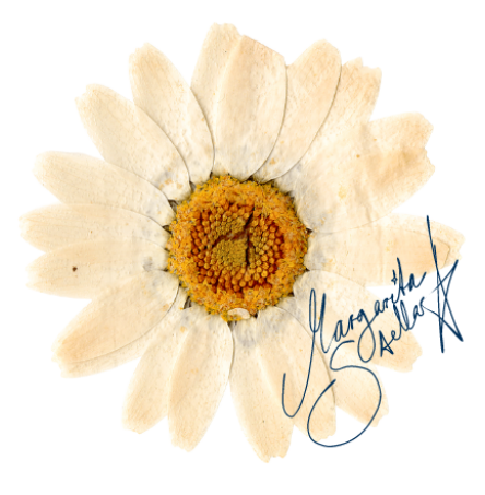 Margarita Stellar